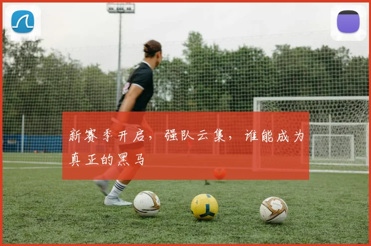 新赛季开启，强队云集，谁能成为真正的黑马