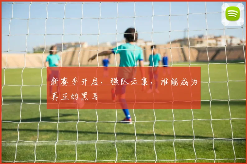 新赛季开启，强队云集，谁能成为真正的黑马